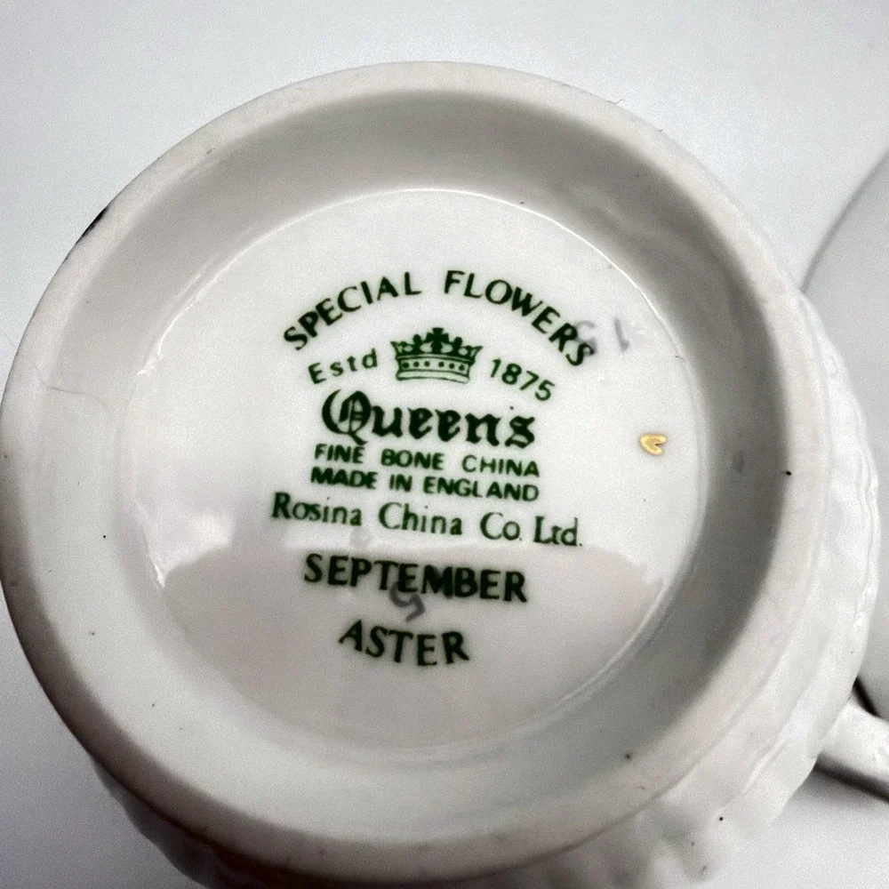 Vintage Queen's Rosina Wild Flowers fine bone china Tea cup with matching saucer